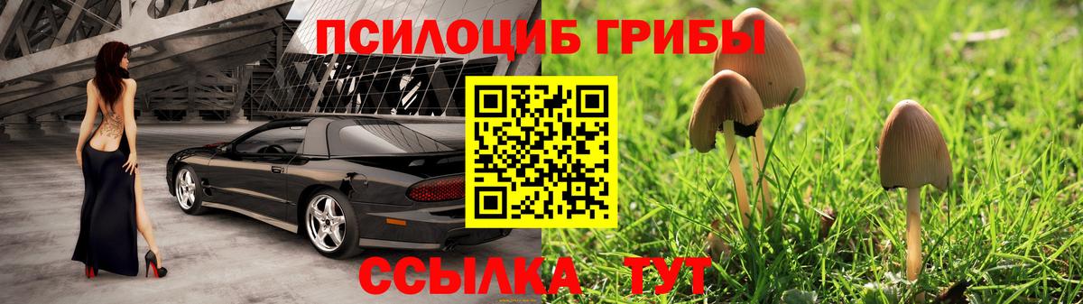 Галлюциногенные грибы Psilocybine cubensis Волжск